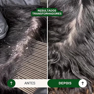Coleção Oásis Therapy Detox - Profissional