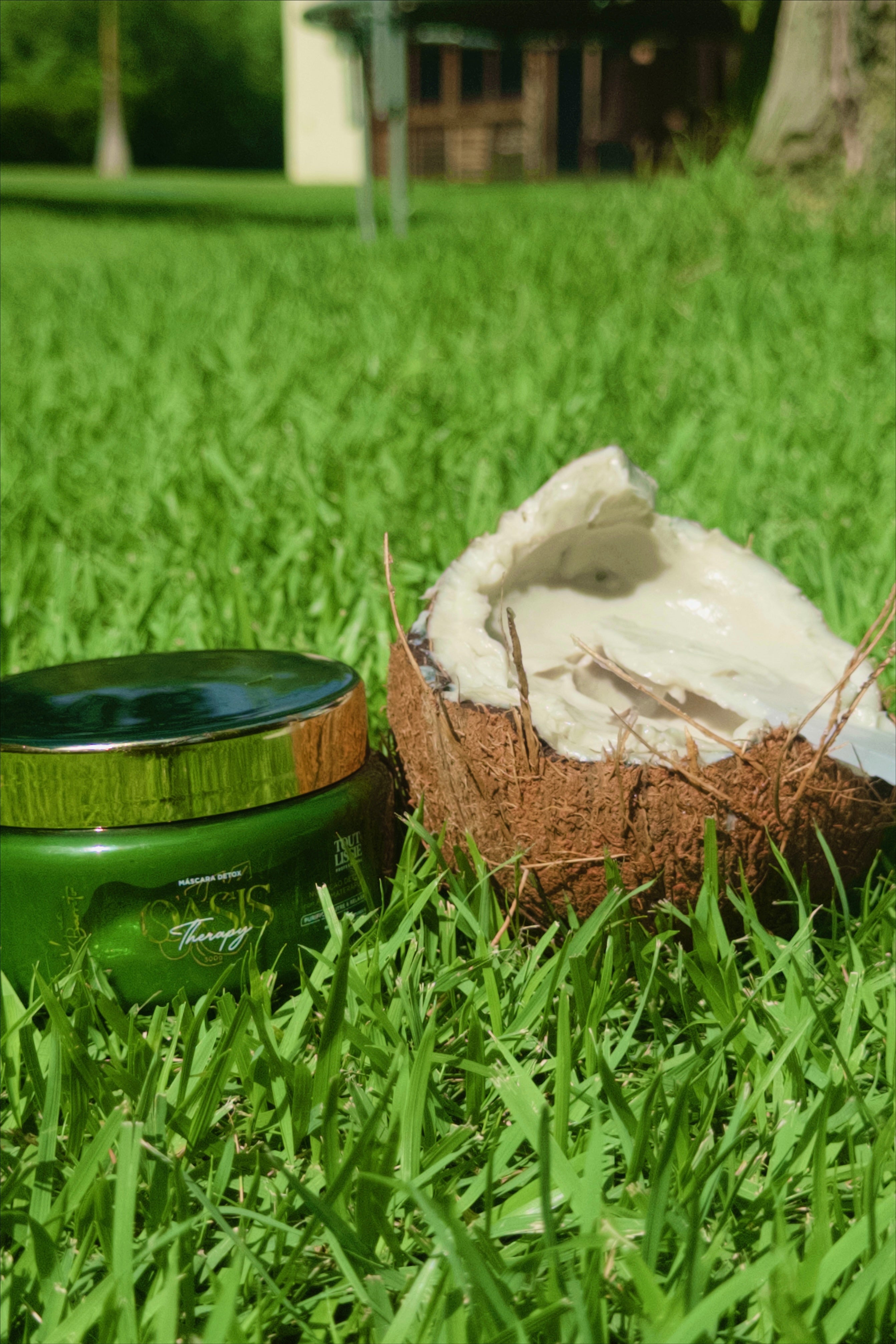 Coleção Oásis Therapy Detox - Personal Care